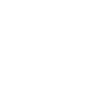 Zoom logo