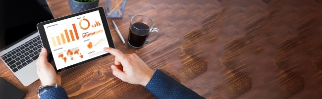 In-Built Audit Reports