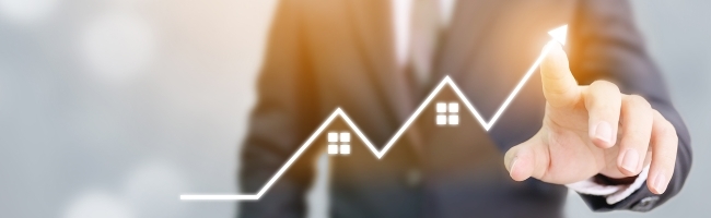 Provides Complete Overview