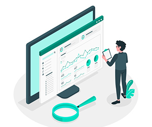 Reports and Analysis