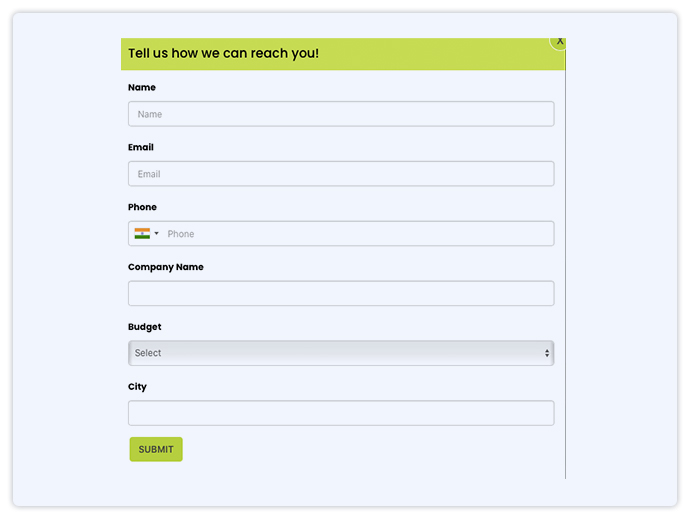 Lead Capture Forms